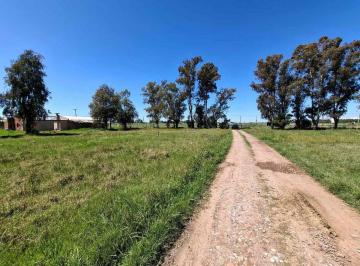 Terreno · 3000m² · Lote en Venta en Cañuelas