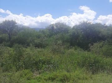 Terreno , Carpintería · Venta Lote en Carpinteria, Sl