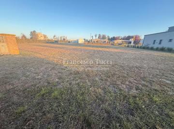 Terreno · 1009m² · Terreno en Venta en Los Juncos
