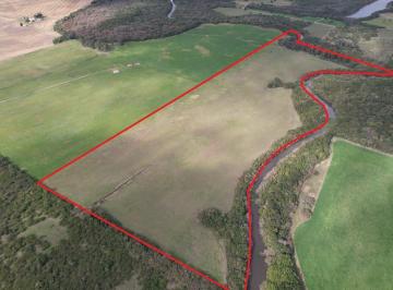 Campo · 150000ha · Chacra con Costa a Arroyo