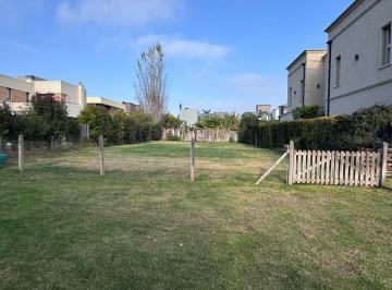 Terreno · 536m² · Terreno en Adrogue