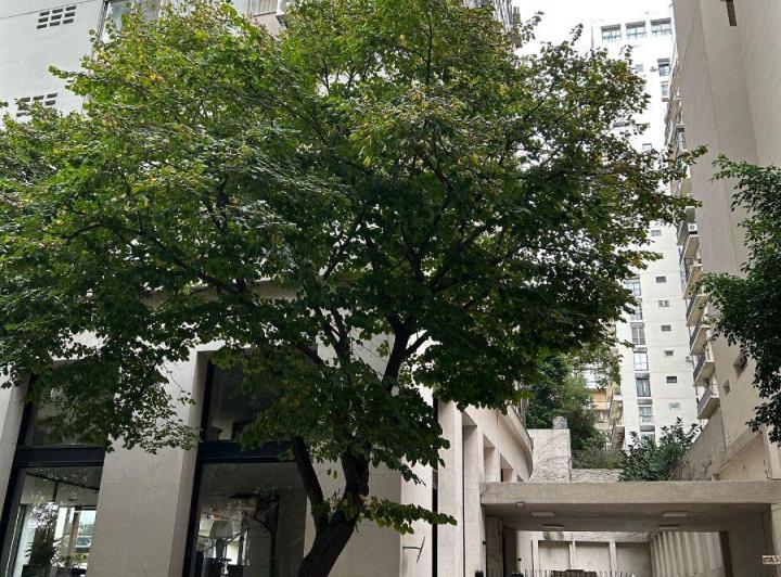 Venta Semi Piso Edificio Torre Sudamerica - Piso Alto con Cochera y Baulera