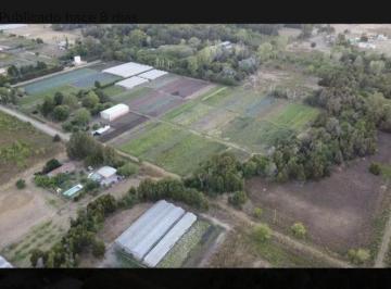Terreno · 18000m² · Terreno - Abasto