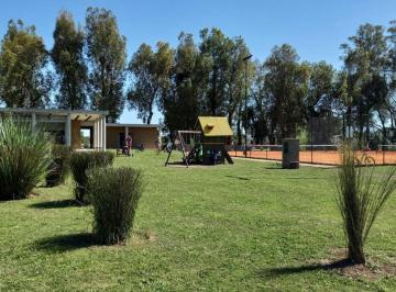 2001703099.jpg · Terreno en Venta Ubicado en Santa Elena, Pilar del Este, Pilar
