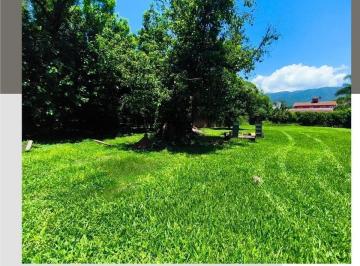 Terreno · 1500m² · Terreno Solano Vera y Las Lanzas