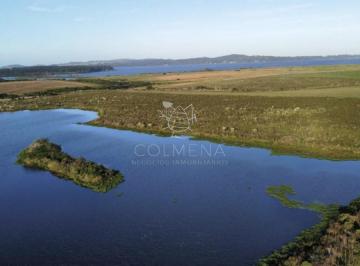 Foto1 · Chacra 6 Has con 8793 m² en Laguna del Sauce