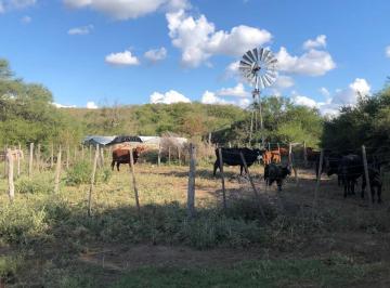 Campo , Tilisarao · Alquiler Campo Mixto de 417 Ha a 70 Km de Merlo.