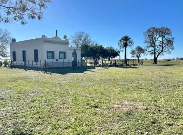 Campo · 88m² · 4 Ambientes · 2 Cocheras · Chacra en Venta en Lobos, Buenos Aires, Ruta Provincial 41