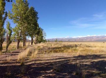 Campo · 130000m² · Campo en Venta - 13 Hectáreas - Mendoza