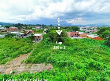 Terreno · 250m² · Terreno en Alto Comedero