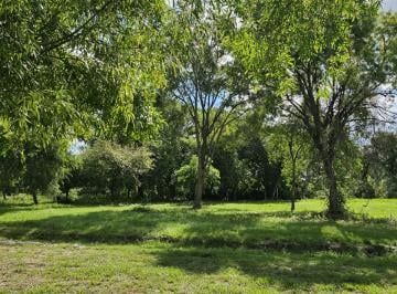 Terreno , Colonia Benítez · Lotes Sobre Acceso Principal de Colonia Benítez con Financiación Directa