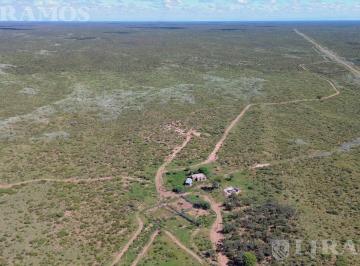 Campo · 145000000ha · 14500 Ha Ganaderas La Paz, Mendoza