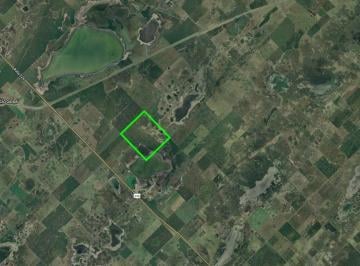 Campo · 2600000ha · Campo en Pehuajo