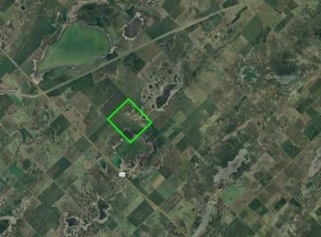 Campo · 2600000ha · Campo en Pehuajo