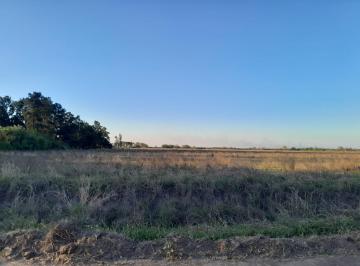 Terreno · 40000ha · Terreno en Venta - 4 Ha - General Obligado