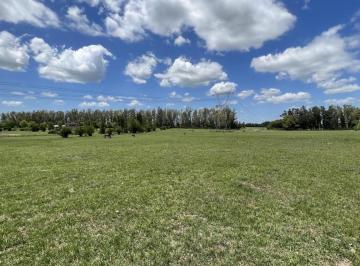 Terreno · 3358m² · Excelente Lote Interno en Chacras de La Cruz