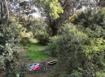 Terreno · 1m² · Venta Lote Punta Indio 5000 m² T - 820