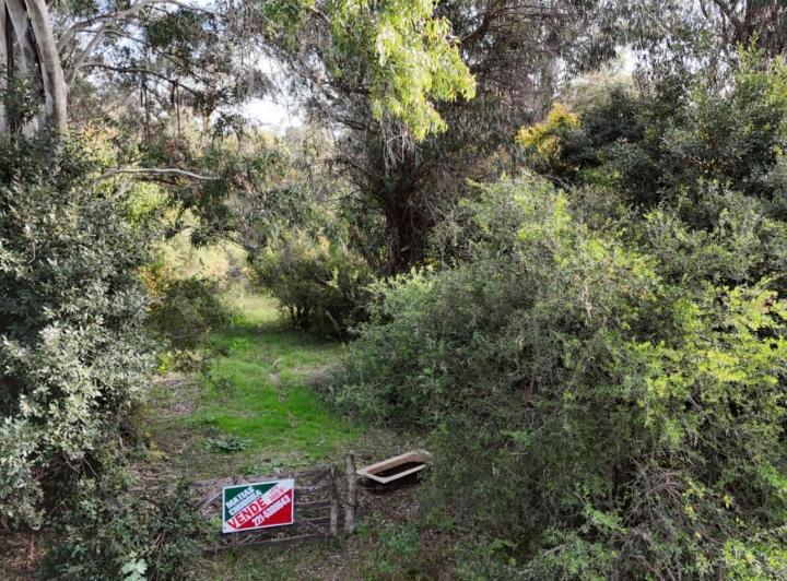 Terreno · 1m²