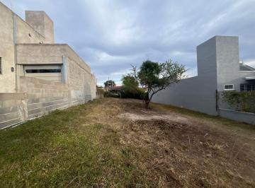 Terreno · 300m² · Terreno en Salsipuedes