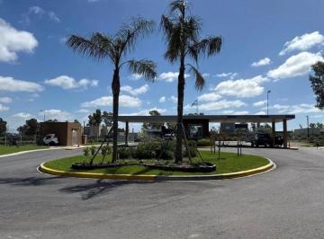 Terreno · 525m² · Lote Central en Santa Sofia