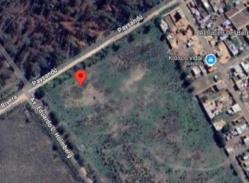 Campo · 9000m² · Campo en Venta - 9000 m² - Florencio Varela