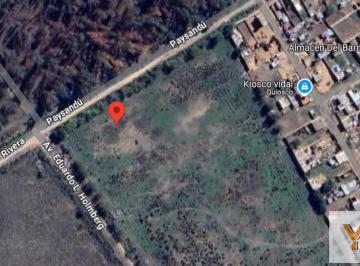 Campo · 9000m² · Campo en Venta - 9000 m² - Florencio Varela