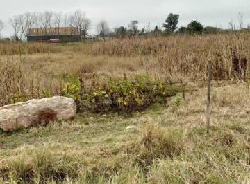 Terreno · 2834m² · Terreno en Venta - 2834 m² - Chascomús