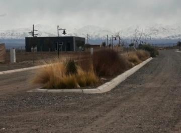 Terreno , Tupungato · Lote 1000 m² Tupungato Valley Mendoza · Dueño Directo · E