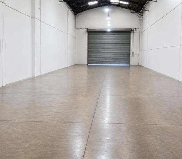 Bodega-Galpón · 310m² · 1 Ambiente