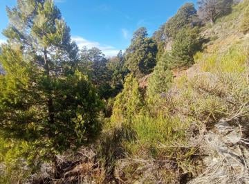 Terreno · 18195m² · Venta 2 Lotes 18.000 m² - Callejon de Bello - B.º Bickel - San Martin de Los Andes