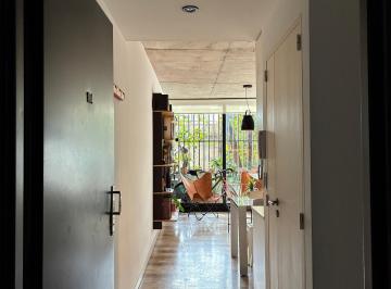 Departamento de 2 ambientes, Saavedra · Duplex 2 Ambientes Mas Escritorio y Lavadero