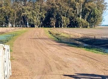 Campo , Las Flores · 1048 Ha Mixtas en Las Flores