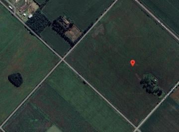 Campo · 28ha · Terreno Agrícola Ayerza, Pergamino, Bs. As.
