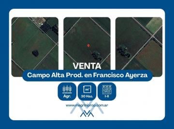 Campo · 285000ha · Terreno Agrícola Ayerza, Pergamino, Bs. As.