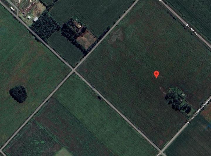 Campo · 28ha