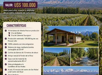 Campo · 3 Ambientes · Finca - San Rafael