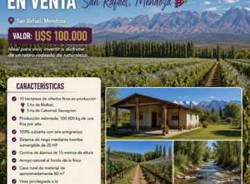 Campo · 3 Ambientes · Finca - San Rafael