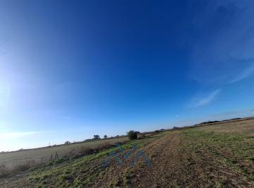 Campo · 480000ha · Campo Agrícola 48 Ha en Pearson, Buenos Aires