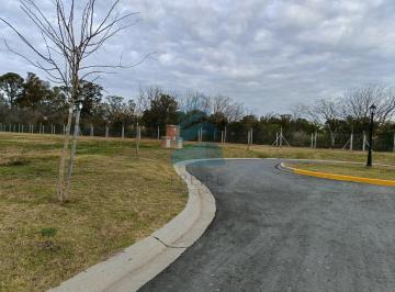 Lote · Venta Lote en Santa Sofia, Pilar del Este, Pilar