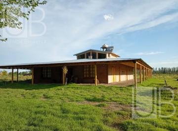 Campo · 60000ha · 4 Ambientes · Campo en San Rafael