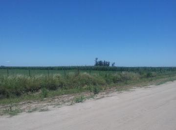 Terreno en Venta · Campo Agricola 44 Ha