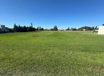 Terreno · 2000m² · Terreno en Venta - 2.000 m² - San Roque, Luján