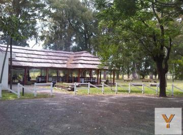Campo · 50m² · 11 Ambientes · Chacra en Venta - 5 Dorm. 7 Baños - 60.000 m² - General Rodríguez