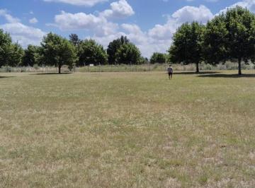 Terreno · 1000m² · Terreno en Venta - 1.000 m² - Los Cardales Country Club