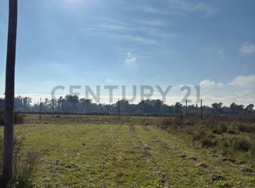 Terreno · 288m² · 17 y 602 Lote en Venta - Altos del Plata