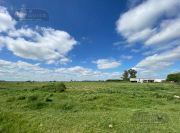 Campo · 1500000m² · Campo en San Vicente