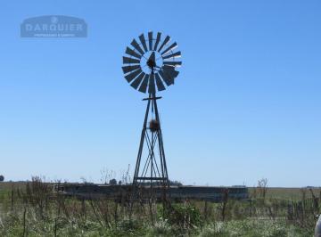 Campo · 1m² · 184 Ha Casalins