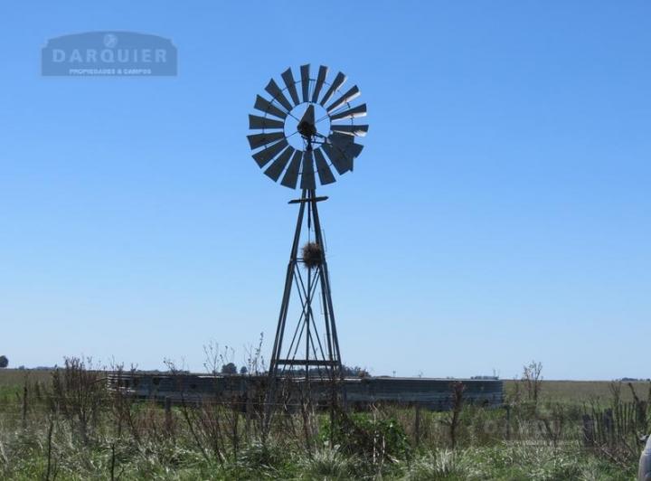 Campo · 1m²