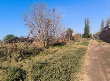Campo · 80000m² · Campo en Venta - 8 Hectáreas - Guaymallén