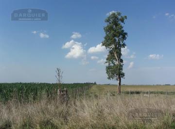 Campo · 1ha · Campo - Ranchos